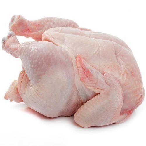 دجاج